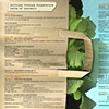 Illustration for Hillside Produce Cooperative Book