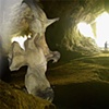 Bat/Bird Stalactite illustration, commissioned by Austin Bat Cave