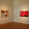 Moody Gallery Installation Photo