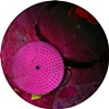 XI from the "dot dot dot" Series, 2010 archival pigment print of digital collage  11" diameter