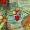 Cherries