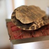 Turtle Shell - Living Room