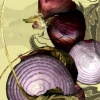 Red Onions