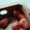 Photograph for Hillside Produce Cooperative Book Project