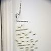 Jason Middlebrook project / Commissioned by Arthouse, Austin, TX