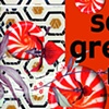 Sarah Greene Reed Business Card