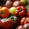 Photograph for Hillside Produce Cooperative Book Project