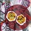 Illustration for Hillside Produce Cooperative Book