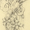 Oriental rabbit sketch