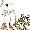 White Rabbit & Apple Bonsai

