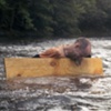 Dam (performance still)