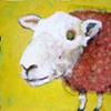 Mouton Sauvage