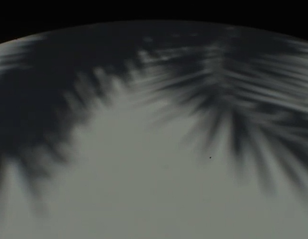 Ephemeral