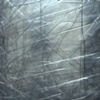 Untitled (Camera Wrap)