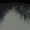 Ephemeral