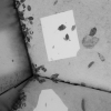 3.11.07 (3)