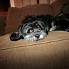 Murdock
