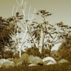 Installation detail (photo)
