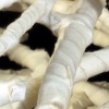 Wrapping (detail)