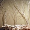 Family Trees
