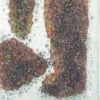 Invasion VI