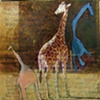 giraffes