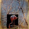 "Forest Ornament"