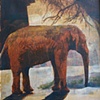 Elephant Sanctuary