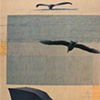 Sea Rain, Blue See