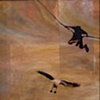Why Boys Can Fly