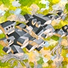 Dwelling #299