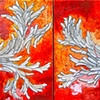 Embellish