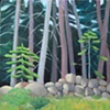 Damariscotta Woods