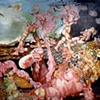 in the ancient brain of no memory