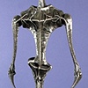 Humanoid