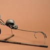 Bicycloid