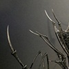 Insectoid