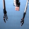 Piano Bones