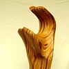 Ulna