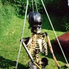 Colossal Skeleton