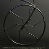 Unicyclic Moa