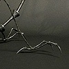 Insectoid