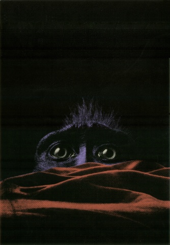 Monkey Blanket