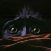 Monkey Blanket