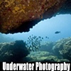Under Water Photography
