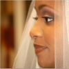 strip lash application