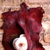 Cocoon