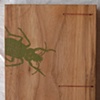 winged creatures (back)