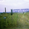 Save the Tracks