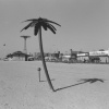 Coney Island